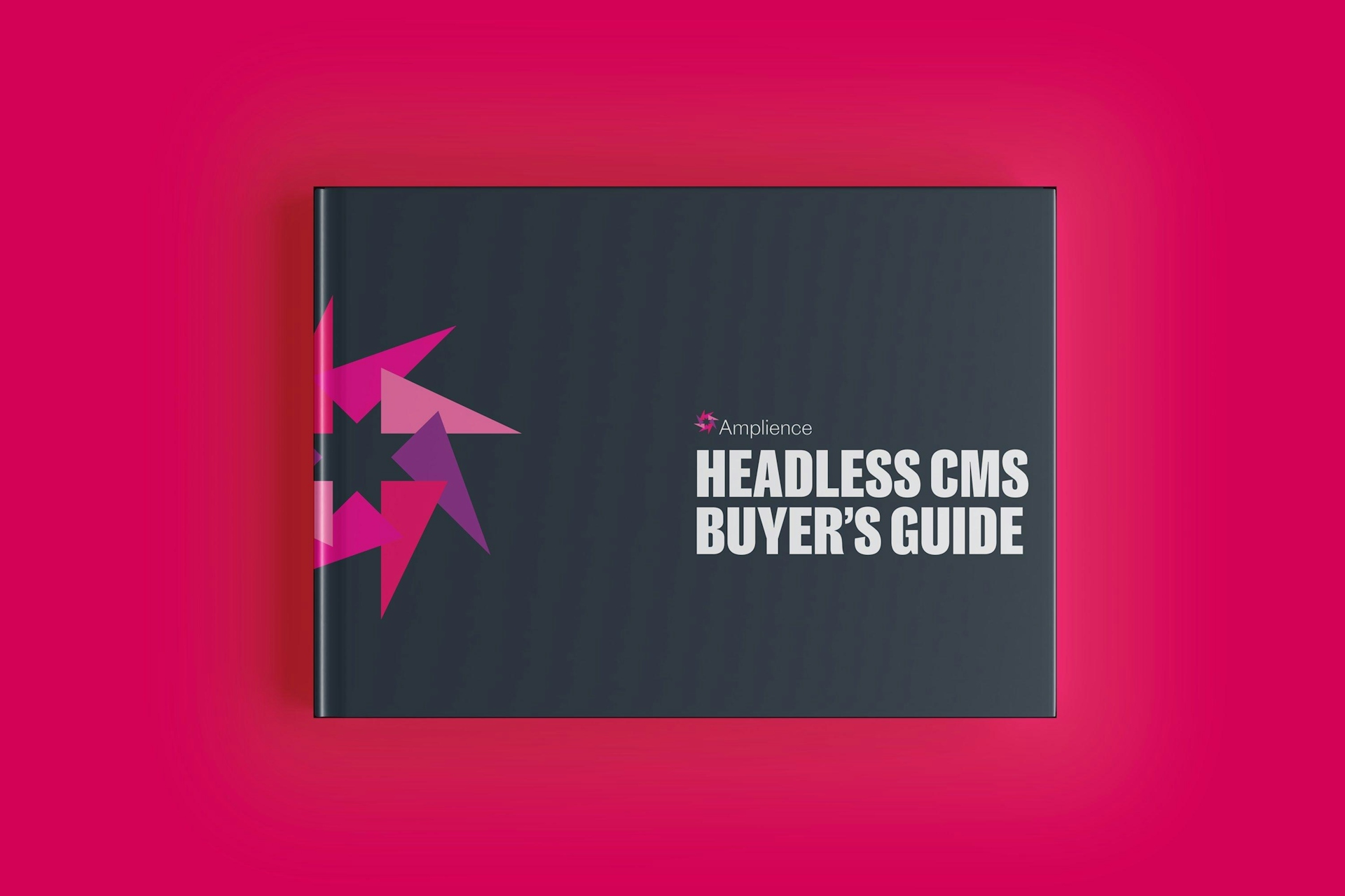 Overview: The Headless CMS Buyer's Guide