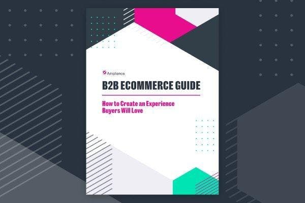 B2B Ecommerce Guide: How to create an experience buyers will love
