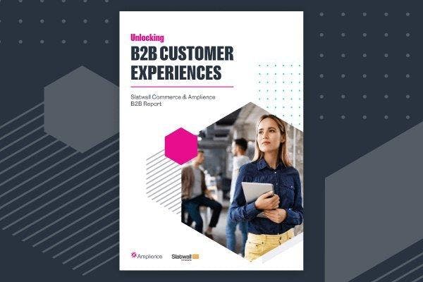 Unlocking B2B customer experiences