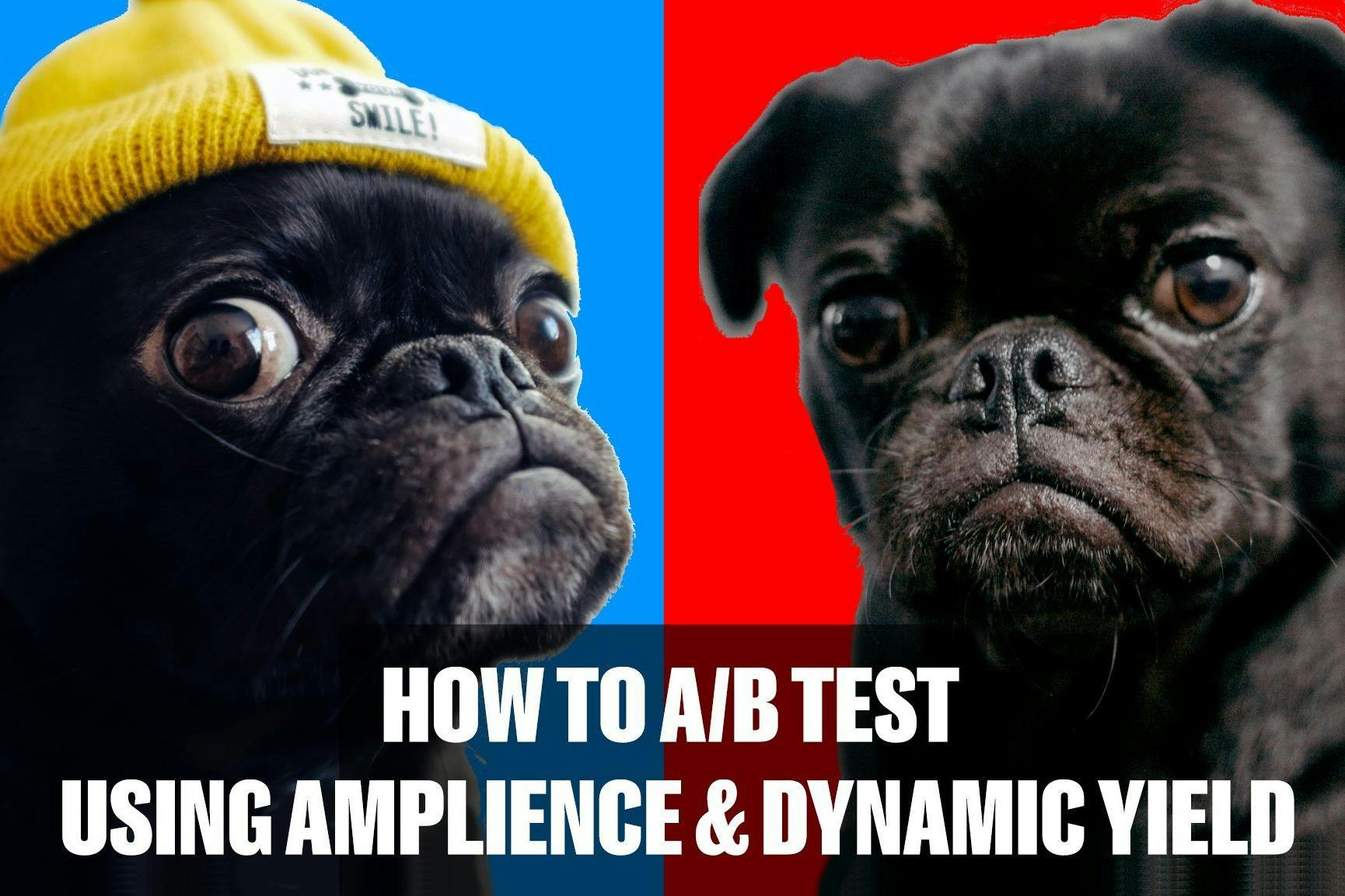 How to A/B test using the Amplience Headless CMS and Dynamic Yield Experience APIs